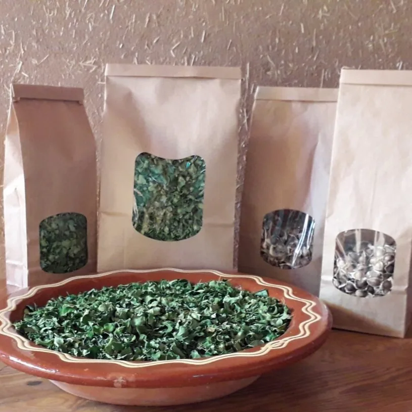 Cure Moringa et Champ Bio Sahara